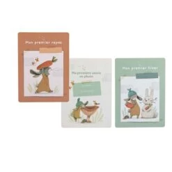 Moulin Roty Cartes Mes 12 Premiers Mois -Magasin de jouets 550Wx550H 3575676786000 6