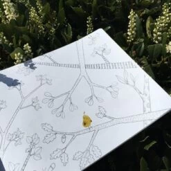 Moulin Roty Cahier D'activités Dans Mon Jardin Le Jardin Du Moulin (36 Pages) 19 Moulin Roty Cahier D'activités Dans Mon Jardin Le Jardin Du Moulin (36 Pages) -Magasin de jouets cahier d activites dans mon jardin le jardin du moulin 36 pages 7