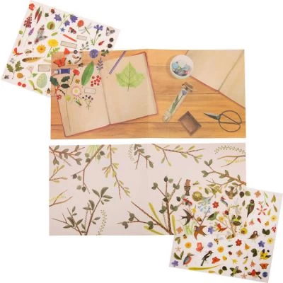 Moulin Roty Décalcomanies Du Botaniste 4 Moulin Roty Décalcomanies Du Botaniste – Image 2