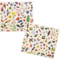 Moulin Roty Décalcomanies Du Botaniste 7 Moulin Roty Décalcomanies Du Botaniste -Magasin de jouets decalcomanies du botaniste 3