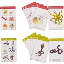 Moulin Roty Jeu De 7 Familles Des Espèces -Magasin de jouets jeu de 7 familles des especes 2