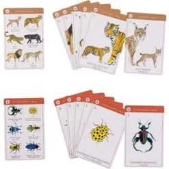 Moulin Roty Jeu De 7 Familles Des Espèces -Magasin de jouets jeu de 7 familles des especes 3