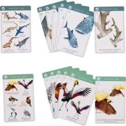 Moulin Roty Jeu De 7 Familles Des Espèces -Magasin de jouets jeu de 7 familles des especes 4