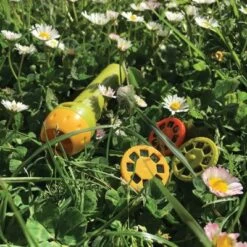 Moulin Roty Lampe à Histoires Le Jardin Du Moulin 12 Moulin Roty Lampe à Histoires Le Jardin Du Moulin -Magasin de jouets lampe a histoires le jardin du moulin 5