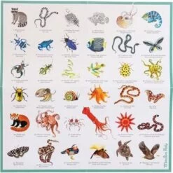 Moulin Roty Memory Des Animaux 9 Moulin Roty Memory Des Animaux -Magasin de jouets memory des animaux 4